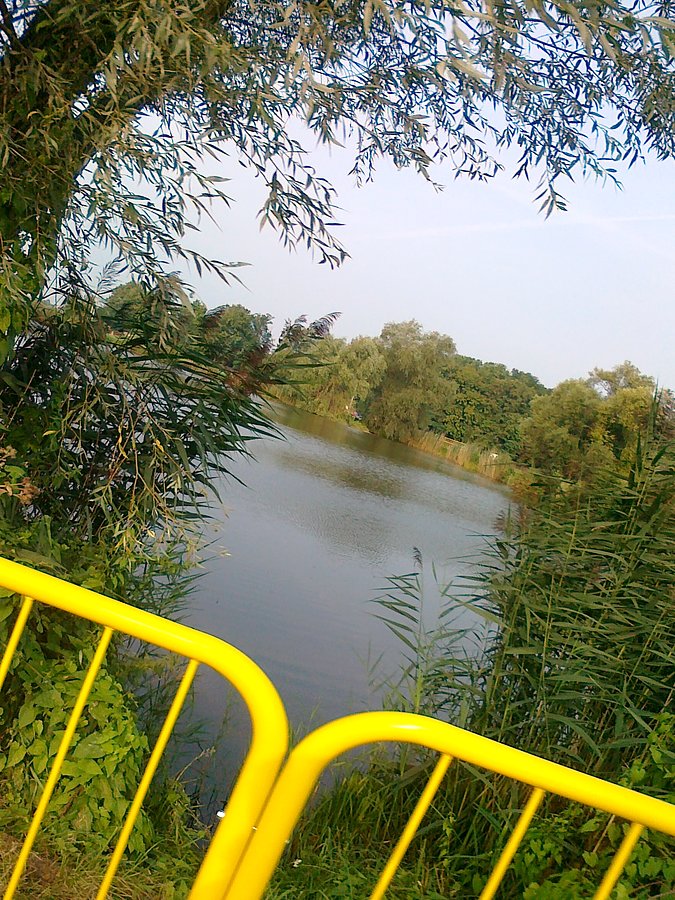 Pierwszy raz zza płotu