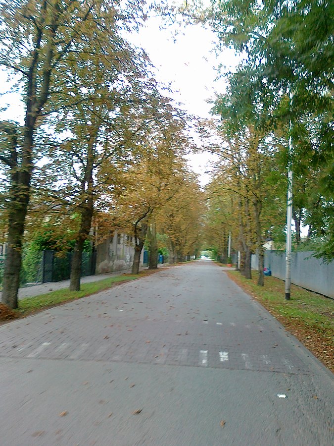 Na Parowozowej już jesień.. Szybko w tym roku