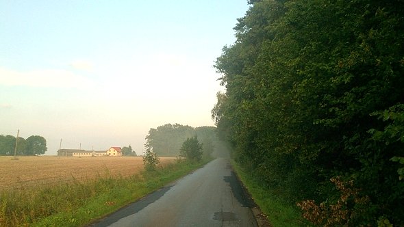 Mokra szosa w lesie