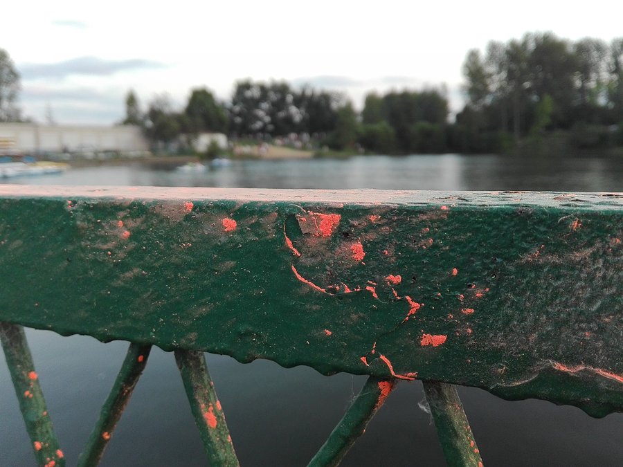 Święto Holi w Parku Lisinieckim