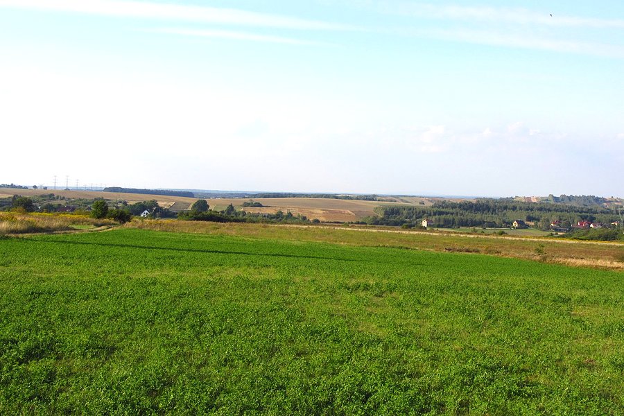 Bukowno