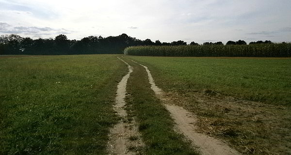 Przez pola i łągi po nadbużu