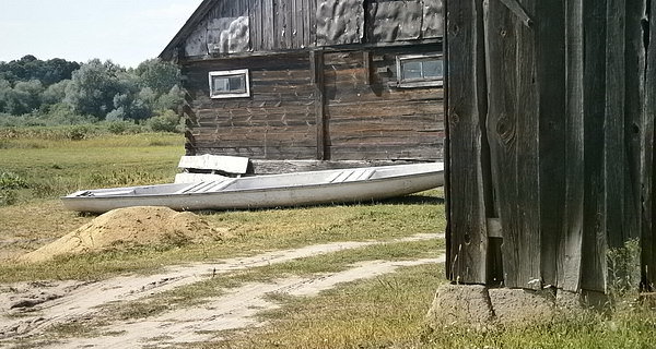 Tonkiele