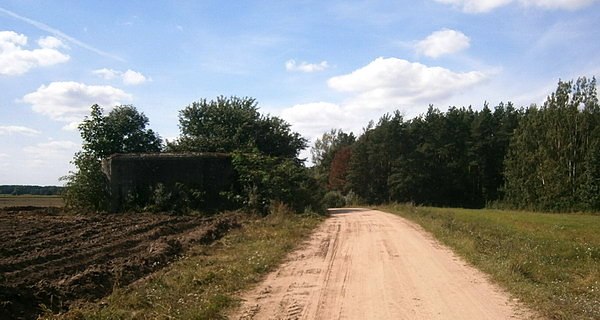 Bunkry linii Mołotowa w okolicy Wólki Zamkowej