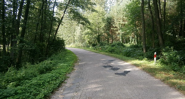 Przez las