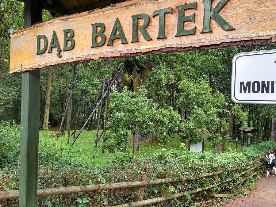 Przy Bartku