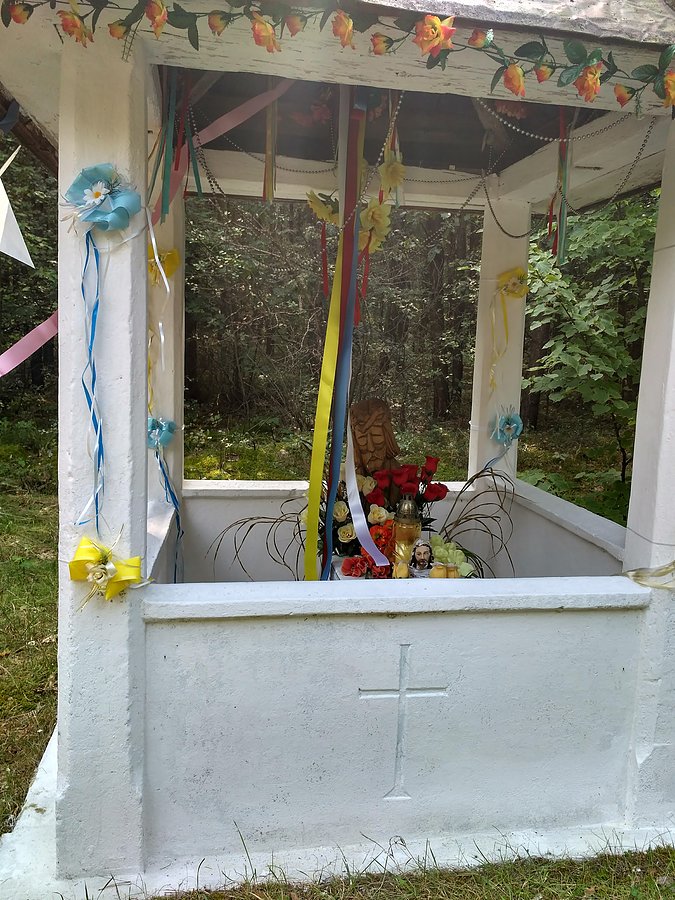 Przydrożna kapliczka za Małogoszczą