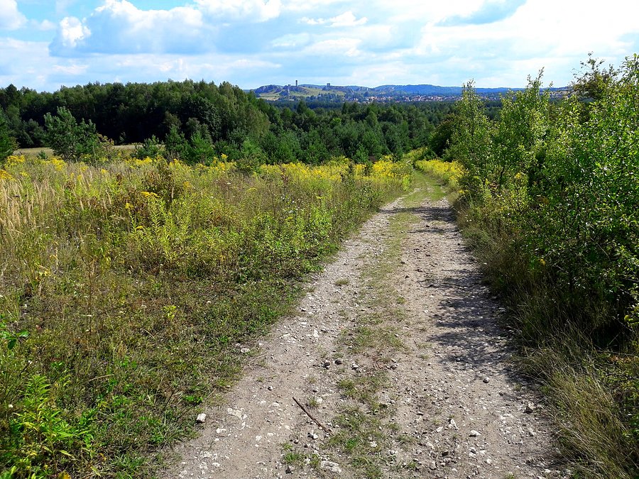 Piękna ta nasza Jura :)