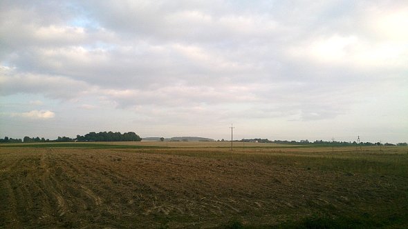 Pola koło Jabłonnej