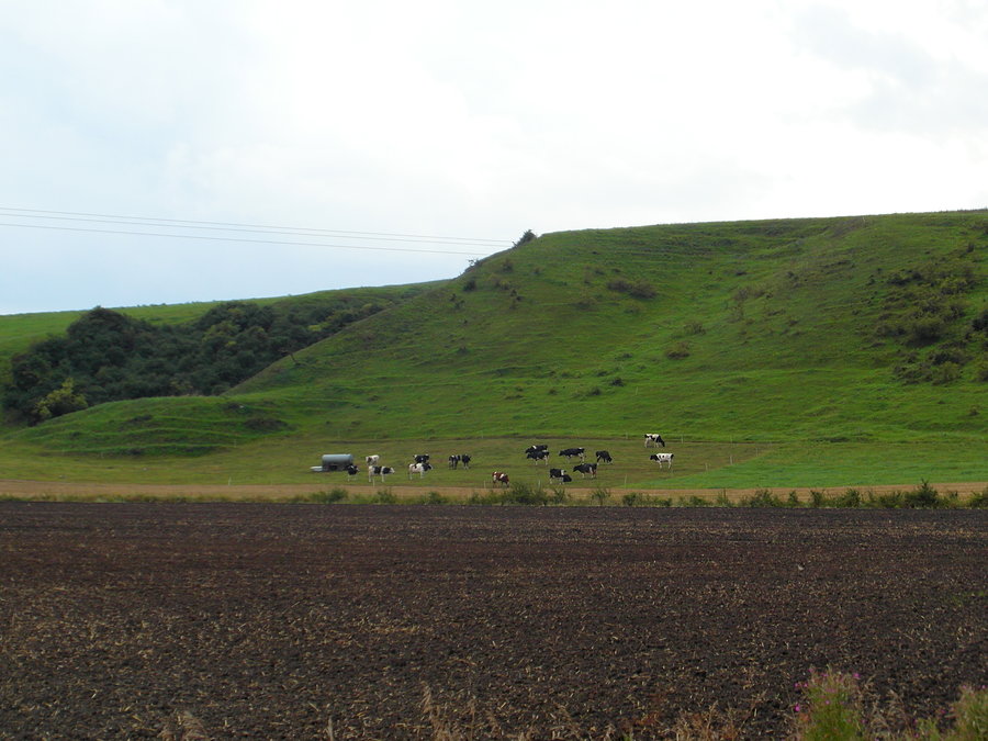 Kociewskie dróżki