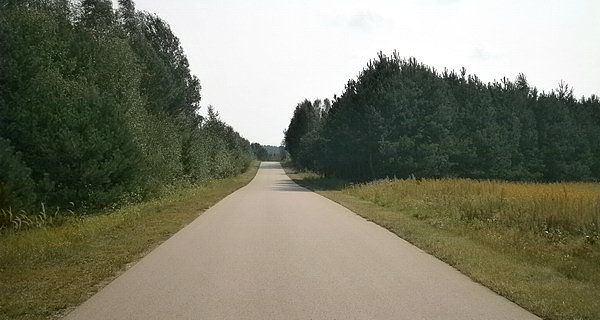 Z Grabarki do Radziwiłłówki też ładny asfalt