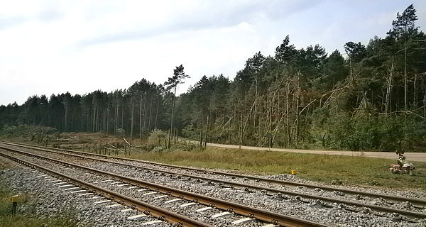 Zniszczenia po wichurach sprzed dwóch tygodni
