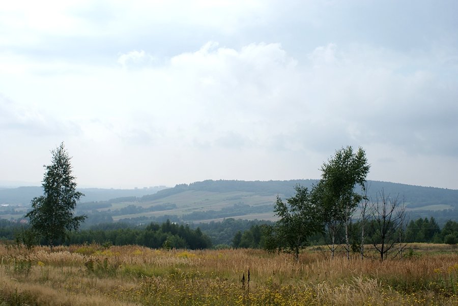 Widok na Pasmo Masłowskie