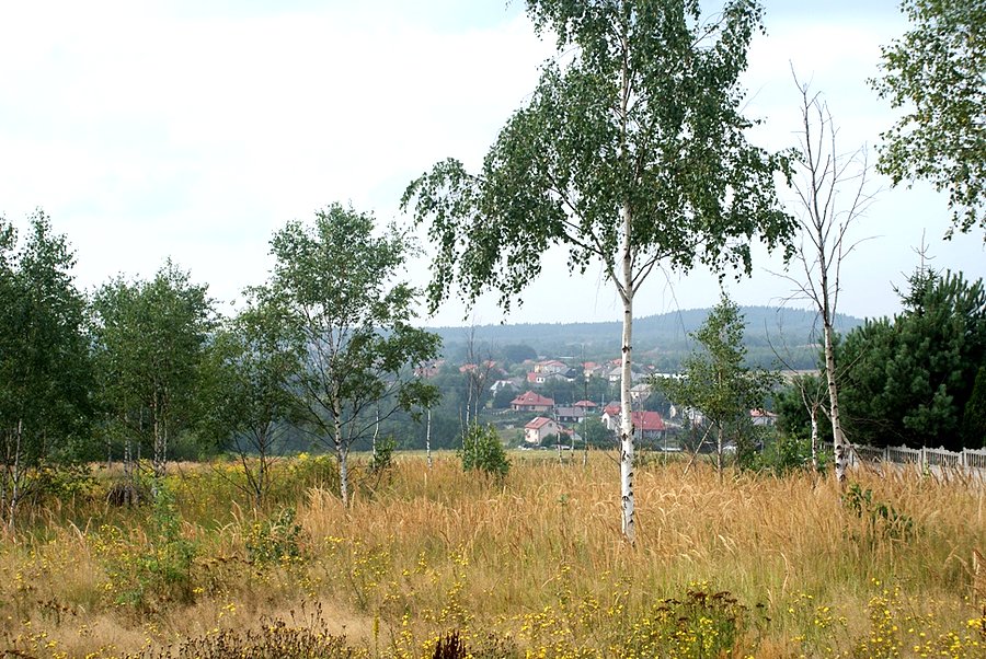 Pasmo Masłowskie