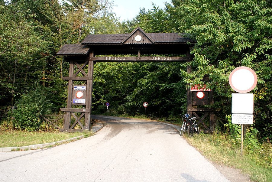 Puszcza Jodłowa - Świętokrzyski Park Narodowy - ostatnie 2 km pod górę do św. Krzyża