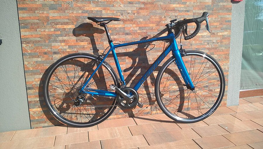 Merida scultura 300