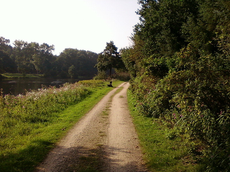 Szutrowy fragment szlaku