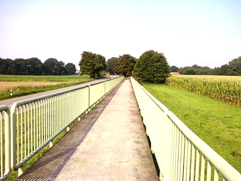 Kładka nad... trawą