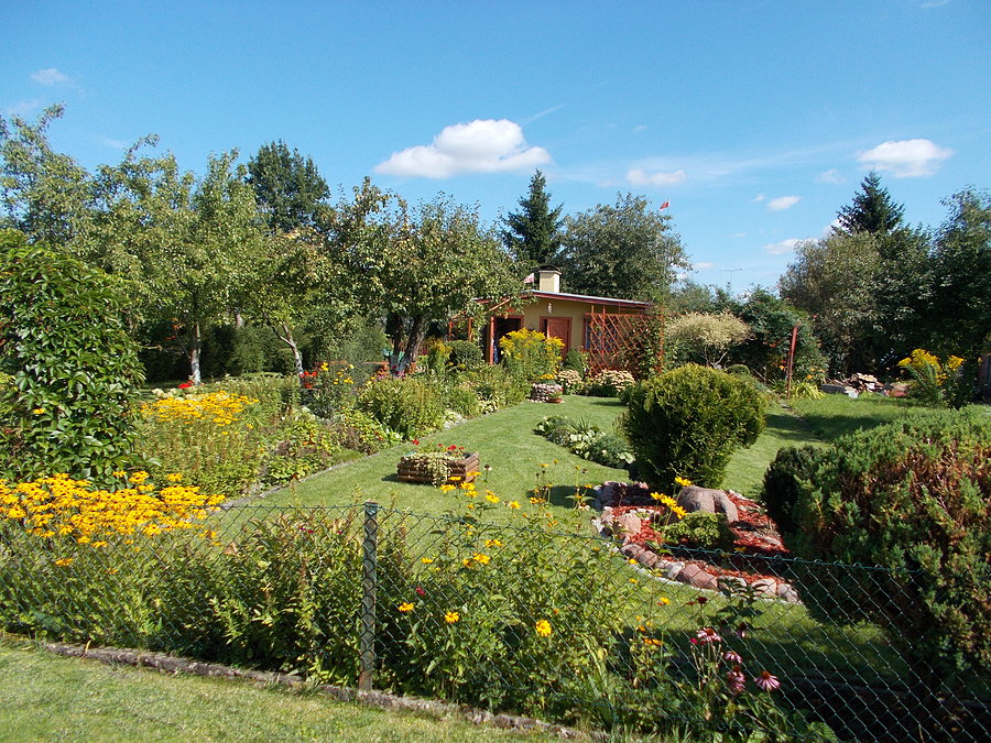 Działka Dareckiego