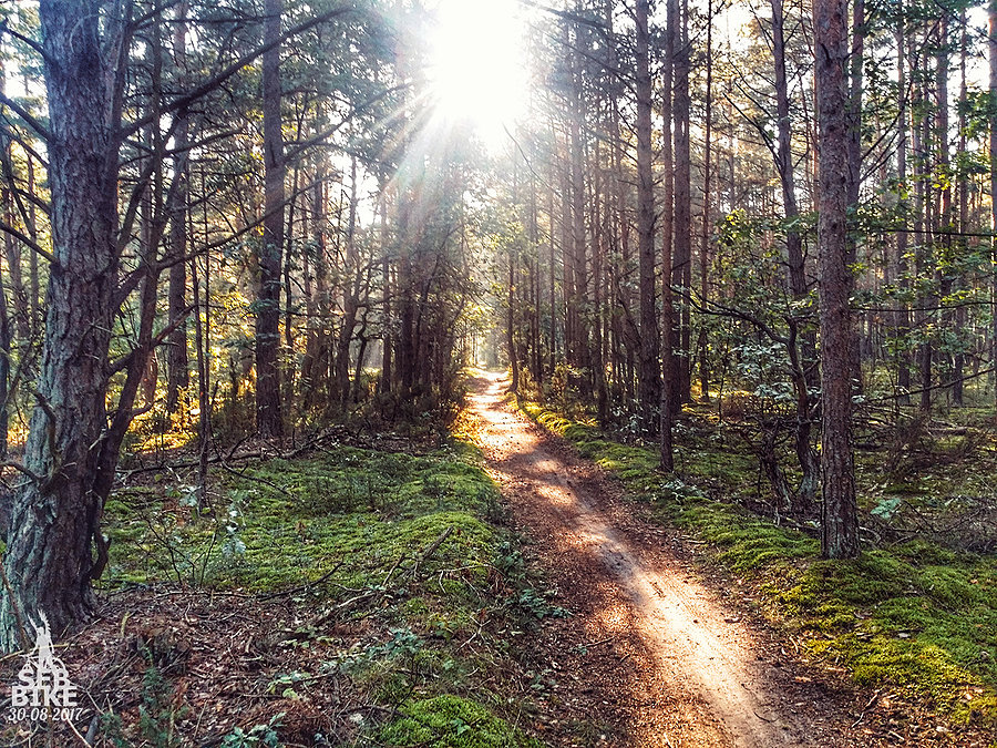 Kampinos