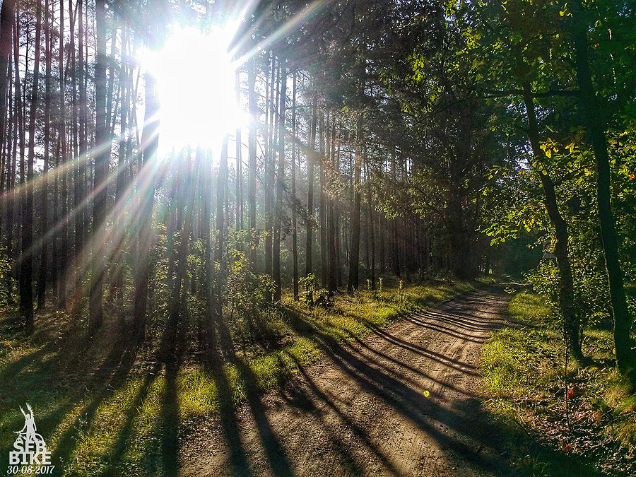 Kampinos