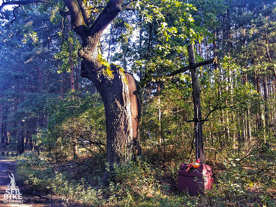 Kampinos