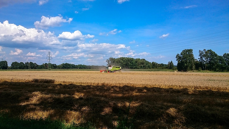 Kombajn zbożowy