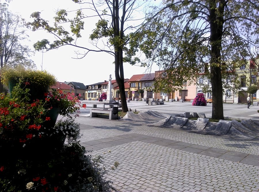 Rynek w Małogoszczy