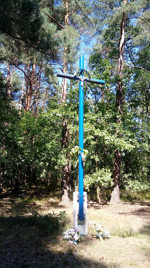 Błękitny kjrzyż