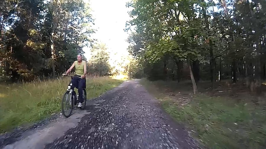 W lesie o tej porze można spotkać rowerzystów :)