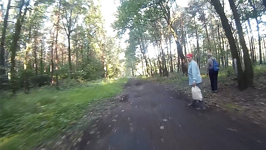 Czyżby wyprawa po grzyby?