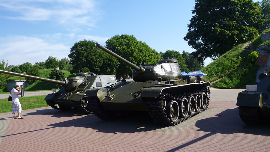 T44 rzadki okaz