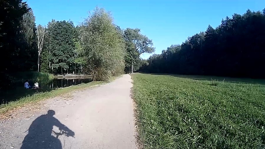 Przez lasek Makoszowski