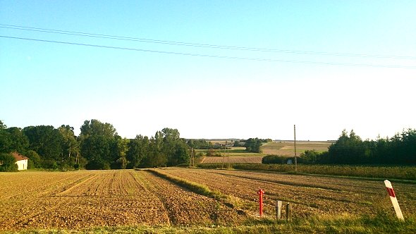 Pola koło Kozic