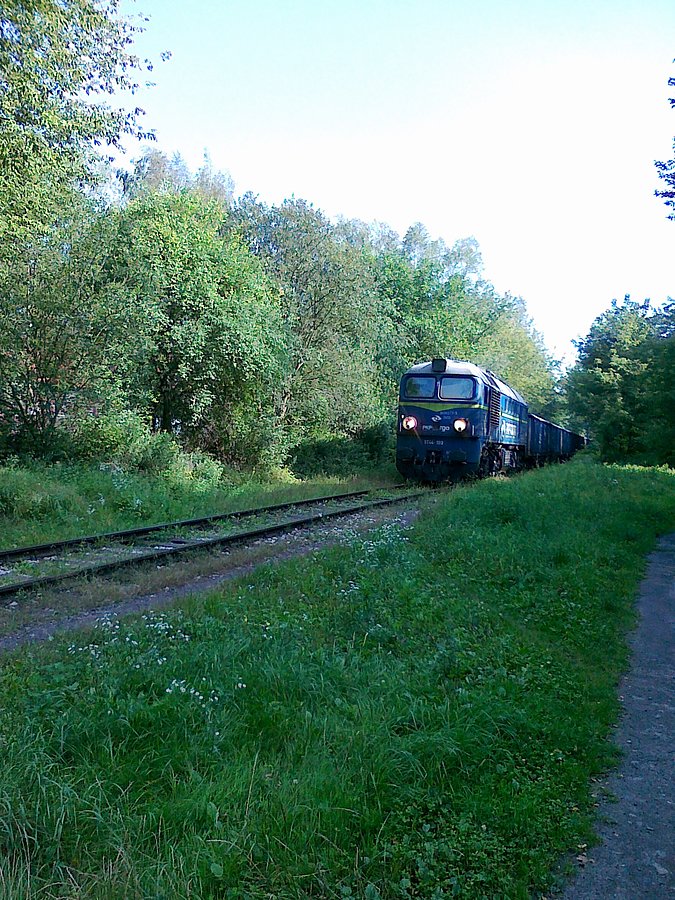 Pociąg w lesie
