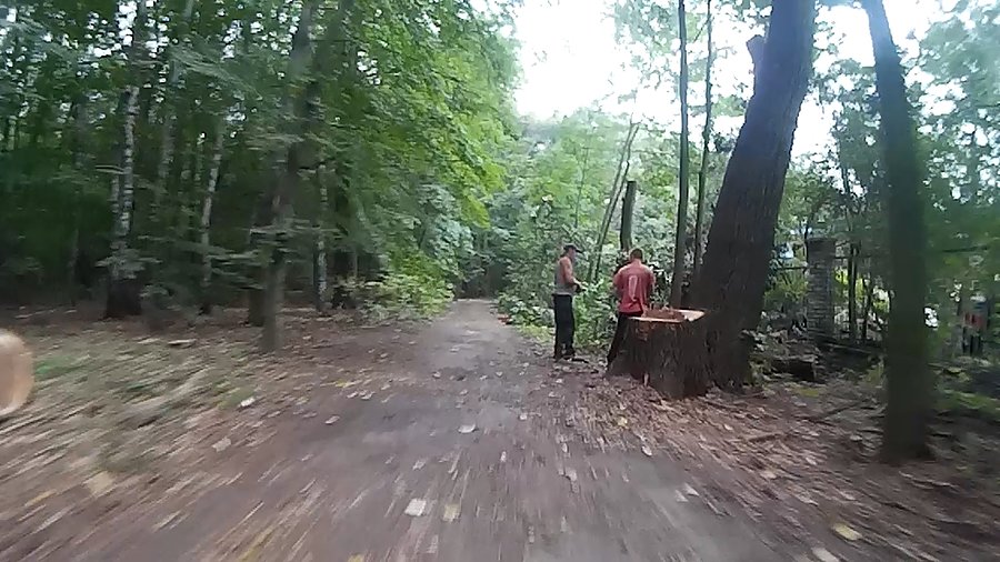 Czyżby jeszcze coś mieli wycinać?