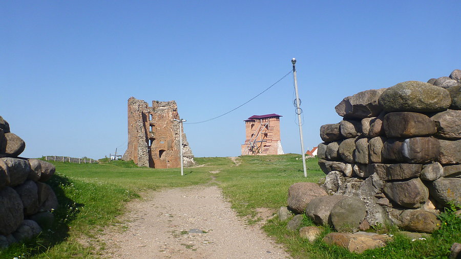 Zamek w Nowogródku