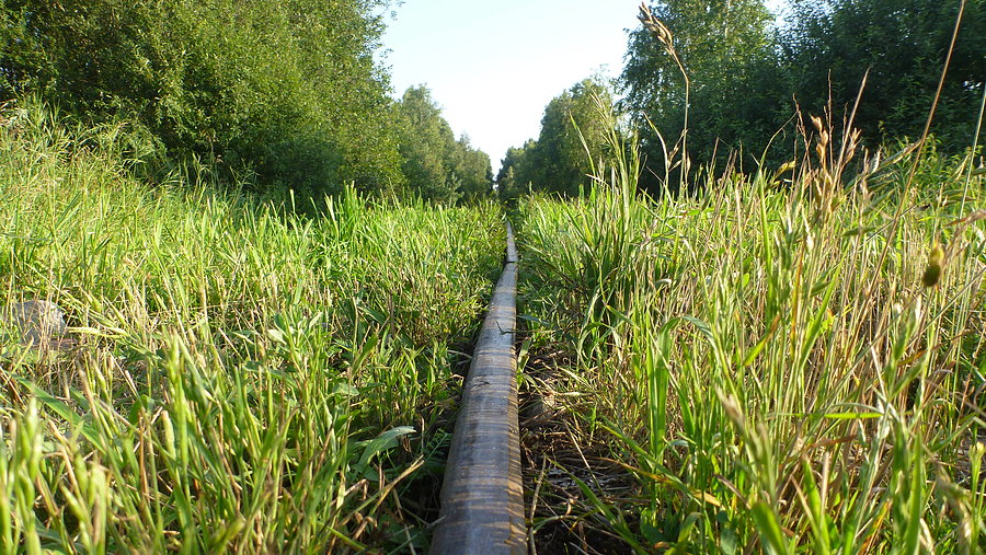 Wąskotorówka