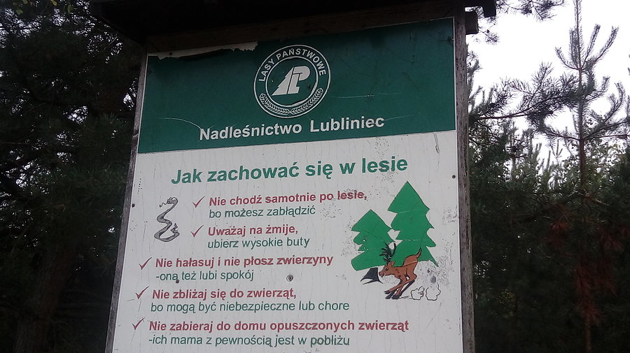 A ja jeżdżę sama... pewnie się zgubię ;-)