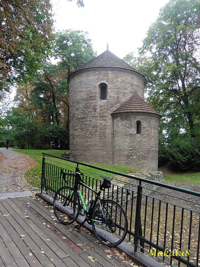 Zamek, Cieszyn-GIANT pod rotundą