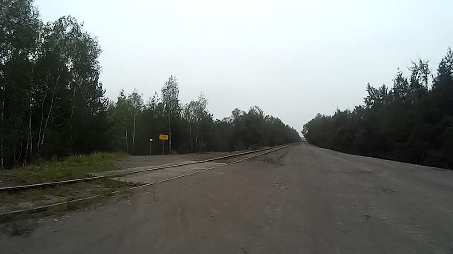 Droga na hałdę w Panewnickich lasach