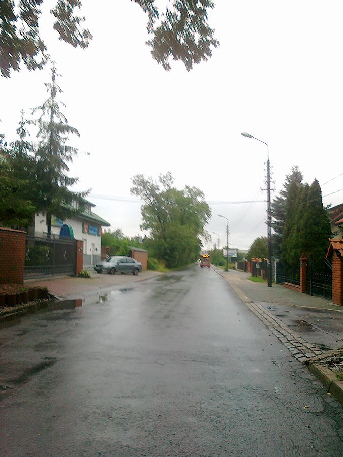Mokro