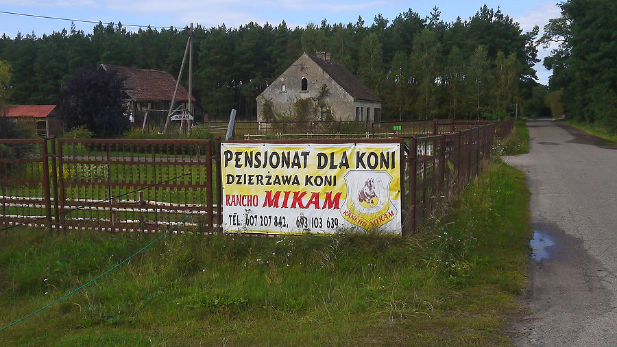 Pensjonat dla koni :-)