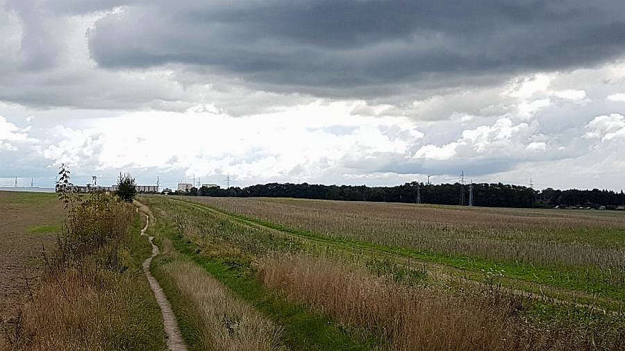 Gruntowa ulica Przemysłowa