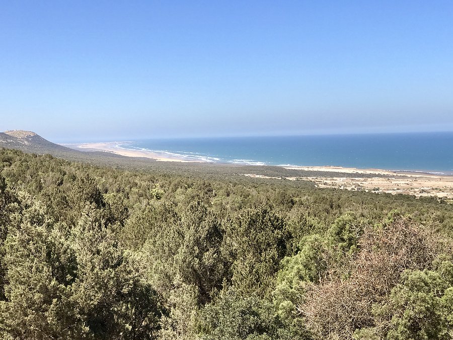 Trasa na północ nad oceanem