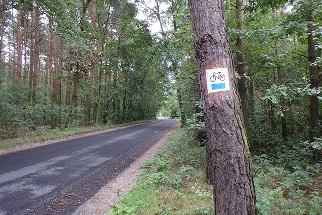 Okolice Zarośli Cienkich