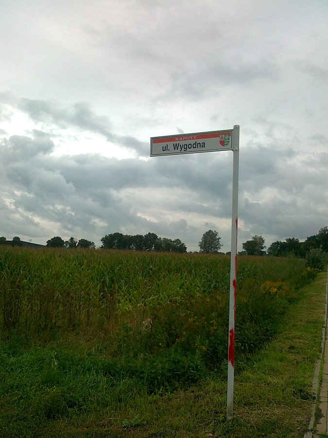 A to jej nazwa...cóż, jak już pisałam kilka lat temu, wygoda to nadal pojęcie względne..::)