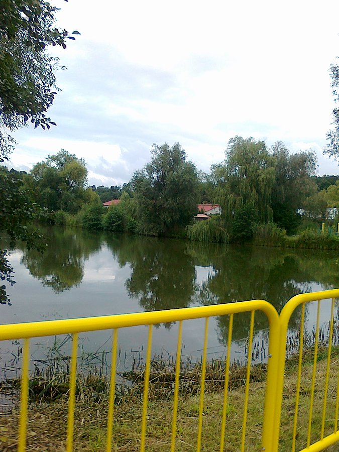 Ogolony staw zza płotu