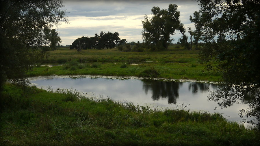 Gorzowska dolina Warty