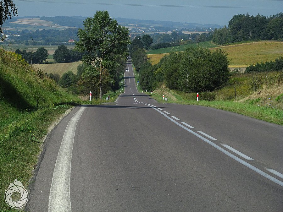 Szosy dynowskie